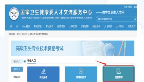 2023年河北衛生系列高級專業技術資格實踐技能考試成績查詢通知——兼論信息技術咨詢服務與衛生人才發展的協同效應